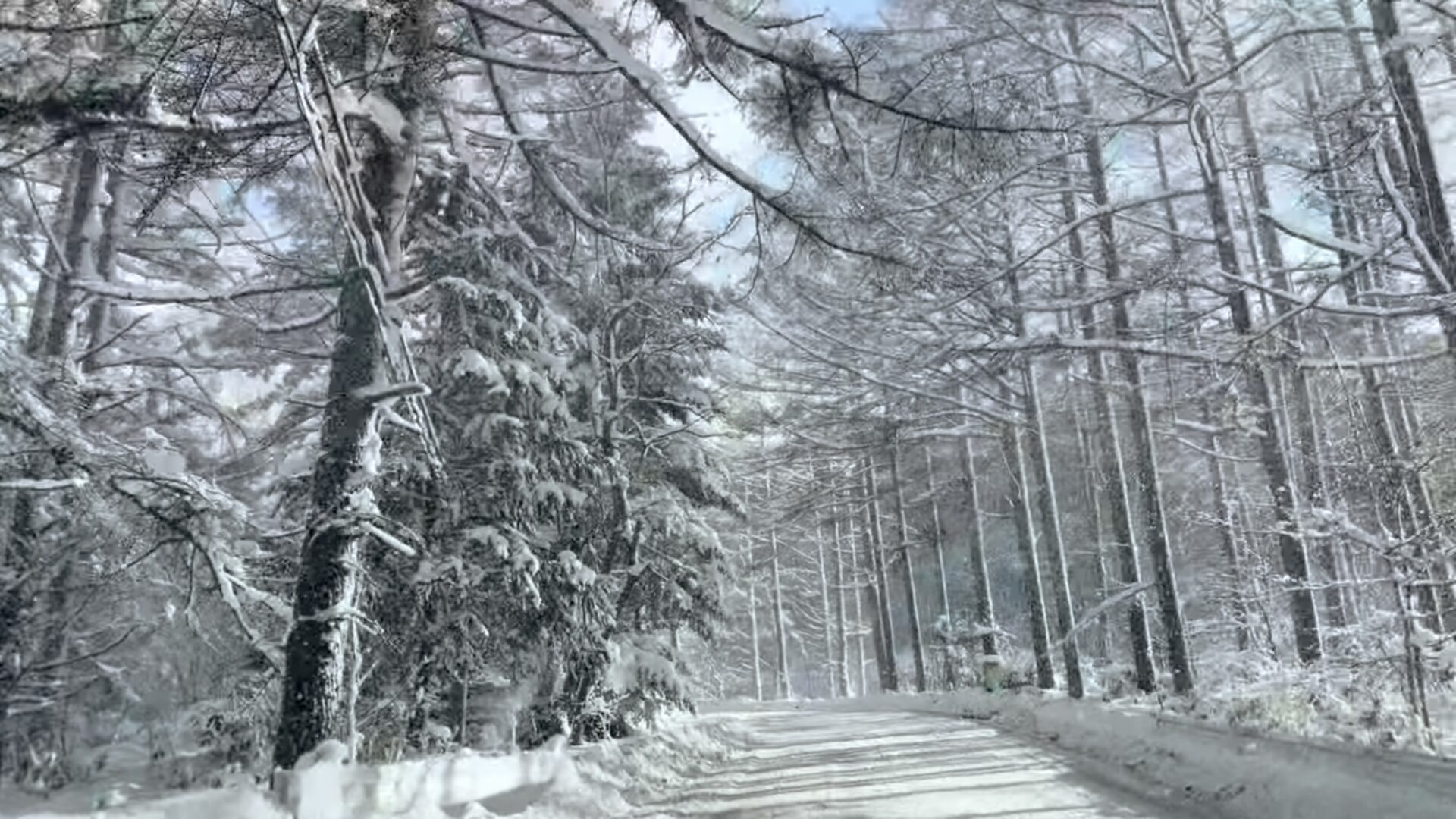 峠道の雪道