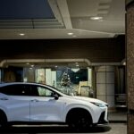 lily-lexus-blog.com favicon