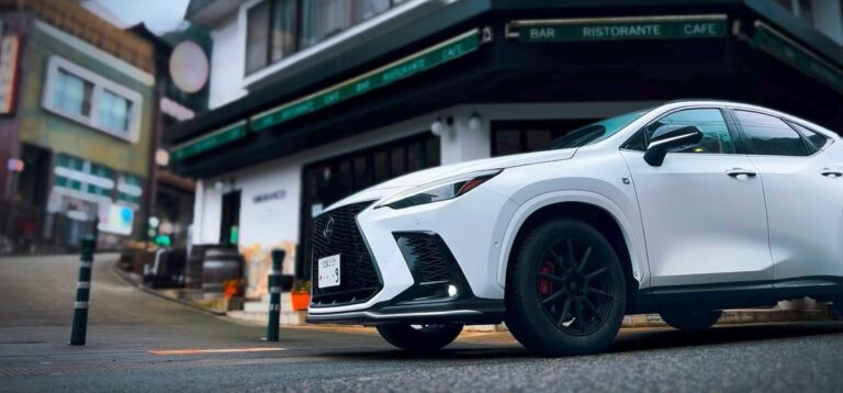 はじめまして！リリーとレクサスって何のブログ？【自己紹介】