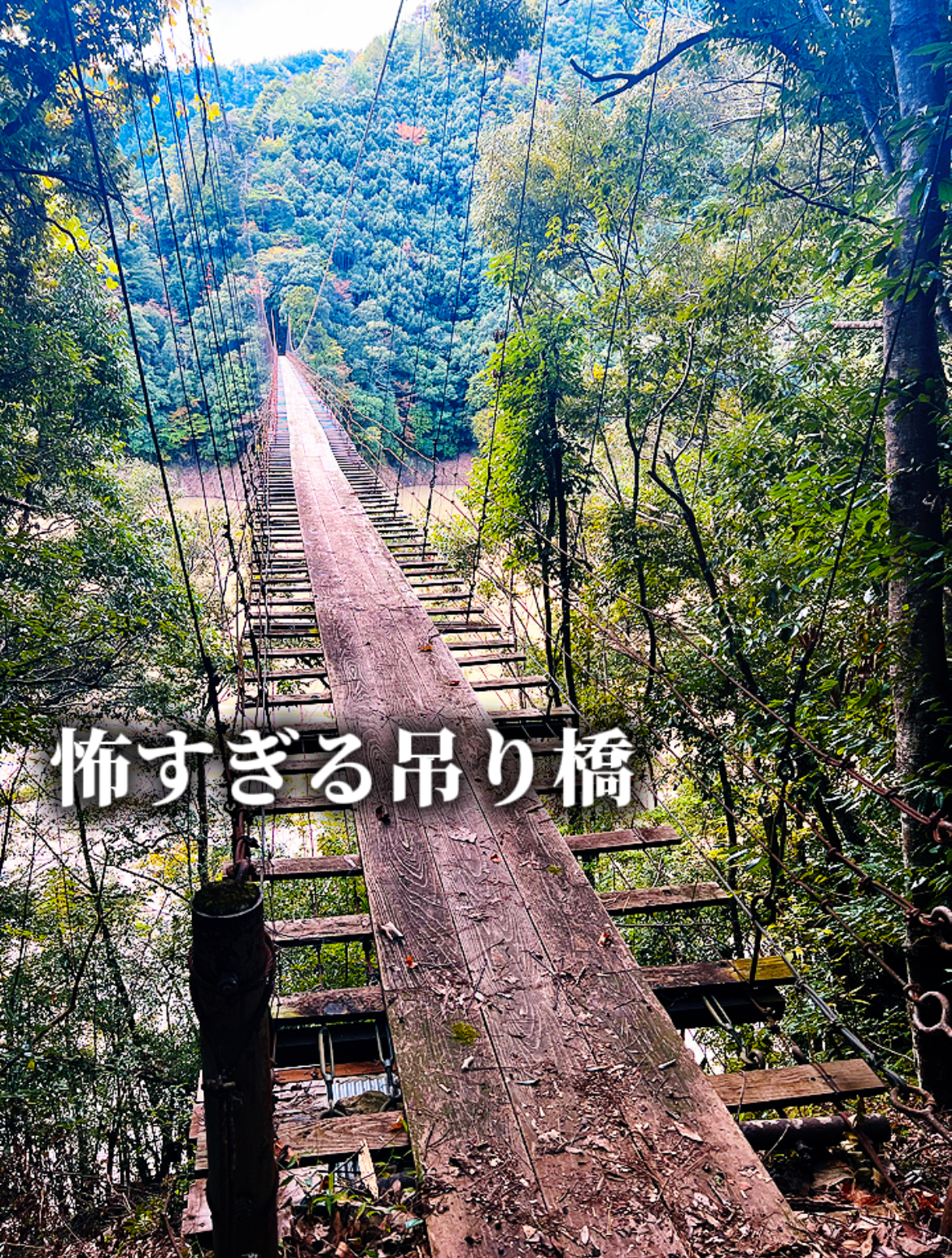 【奈良十津川村】谷瀬の吊り橋を超えるスリル！「小黒谷の吊橋」がガチで怖かった話